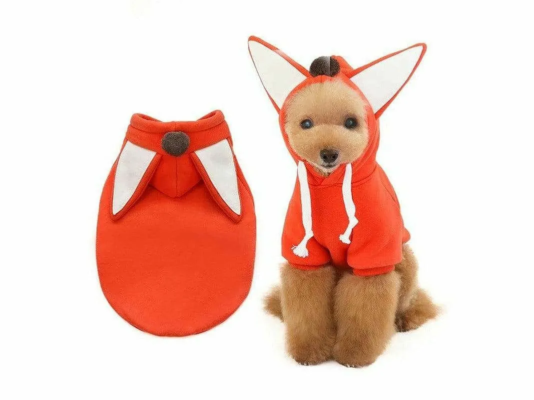 dog clothes Orange M KLN20067