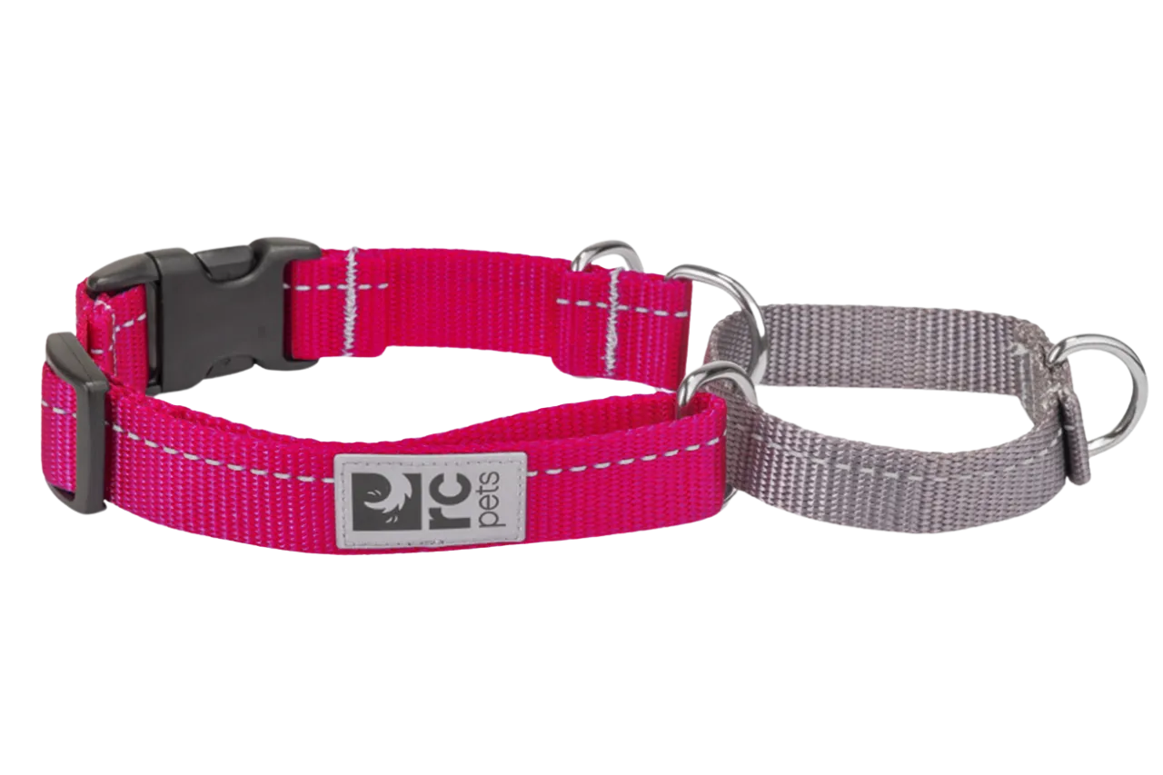 RC Pets Primary Web Training Clip Collar